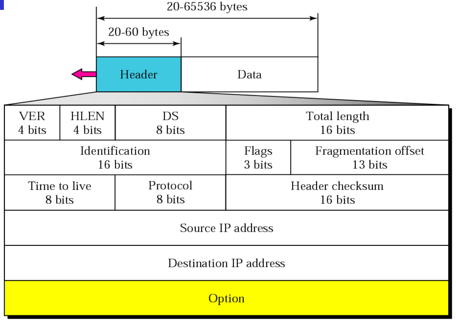 ch8-ip-datagram